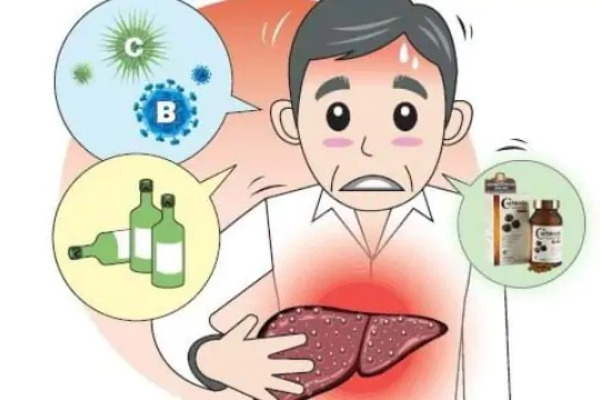 Chỉ số GPT là gì? GPT bao nhiêu là nguy hiểm? 2
