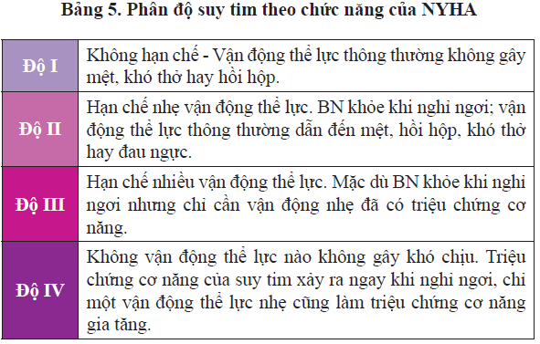 SUY TIM: thế nào là suy tim? Phân độ suy tim? 1