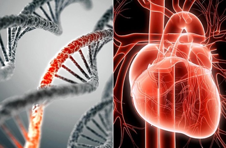 NHỒI MÁU CƠ TIM CÓ TÍNH DI TRUYỀN KHÔNG ???