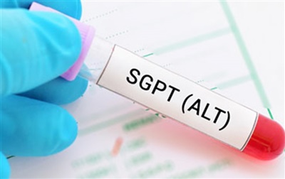 ALT (GPT)