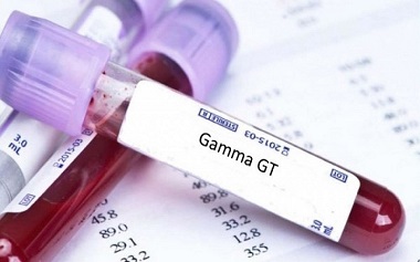 Gamma GT (yGT)